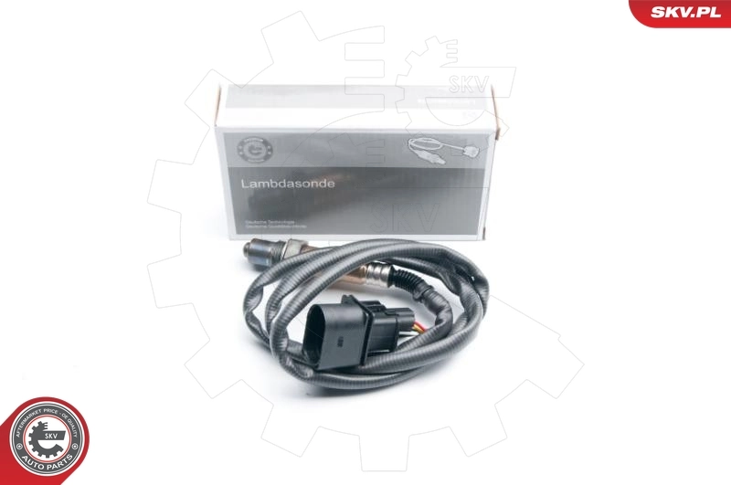 Oxygen Sensor